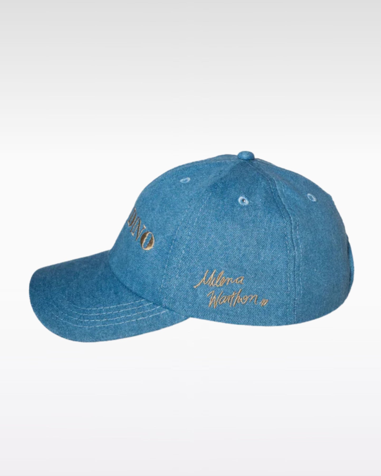 GORRA POP ANDINO EDICIÓN ALBÚM - JEAN
